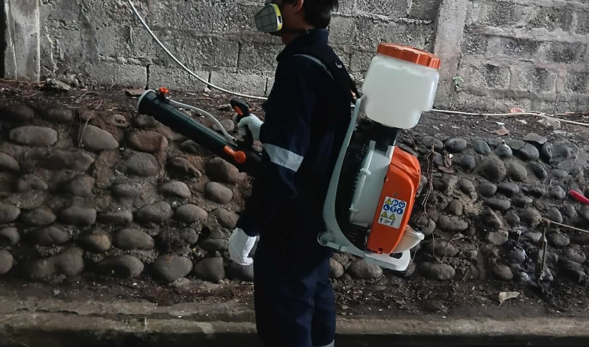 How regular pest control saves you money over the long-term