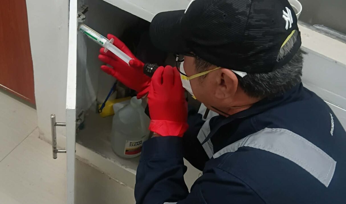 Why pest control is essential for business