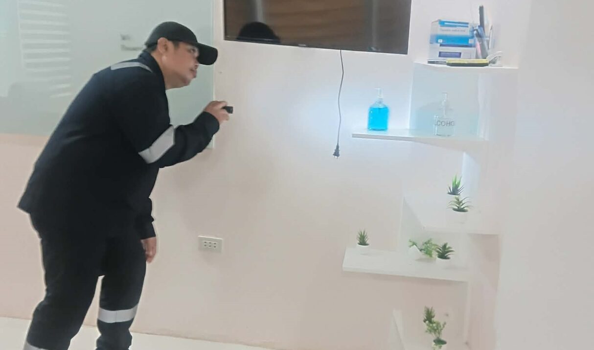 Protecting your property with preventive pest management